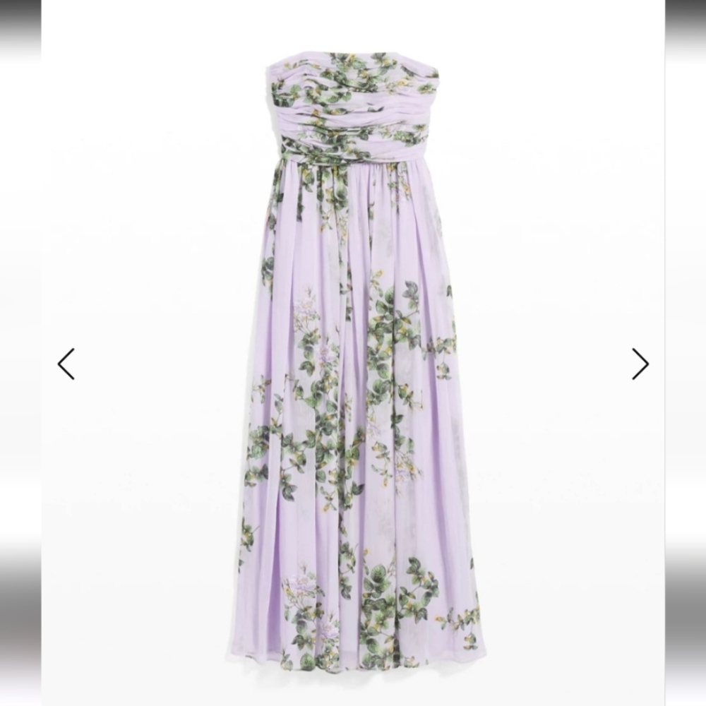 NWT WHBM Strapless Chiffon Maxi Dress Size 14